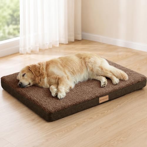 Patas Lague Orthopedic Medium Dog Bed Washable Pet Sofa Mat 30''X20''Brown by PatasLague