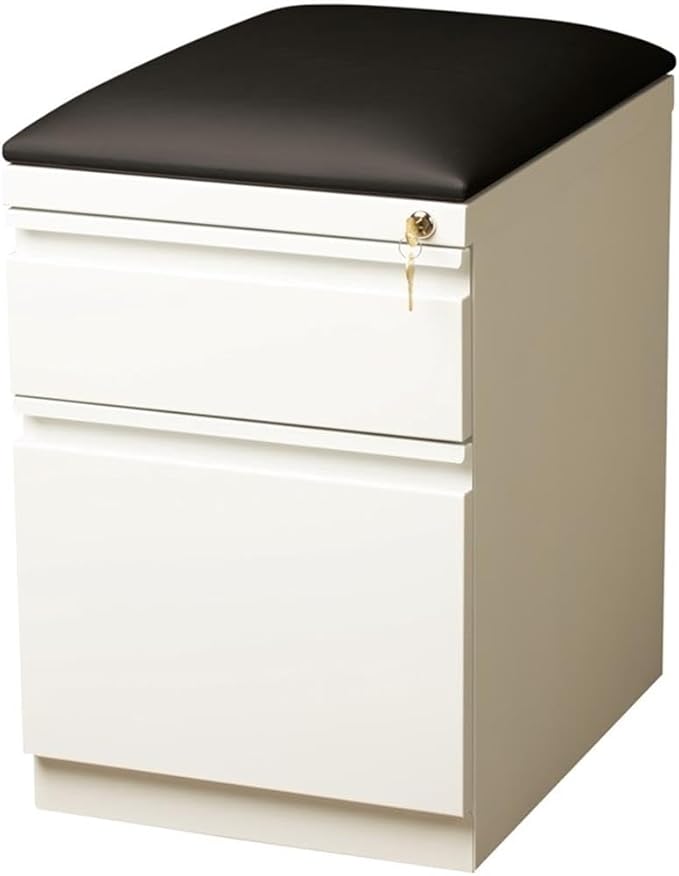 Pemberly Row 2-Drawer Metal Mobile Pedestal Filing Cabinet in White/Black - Image 3