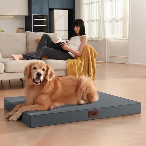 Outdoor Waterproof Orthopedic Dog Bed for Medium Size Dogs - Image 5