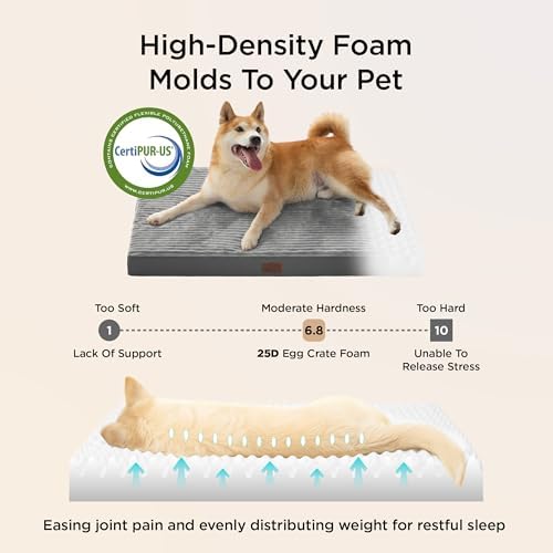 Bedsure ComfyFleece Small Dog Bed with Washable Cover, 23x17 Cat Puppy Bed - Image 3