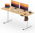 63''x 24'' Standing Desk Electric Adjustable for Home Office by FitStand