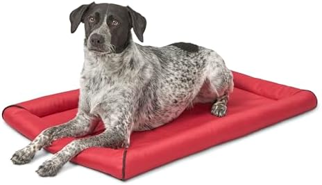 MidWest Homes for Pets Ultra-Rugged MAXX Dog Bed, Water Repellent, Easy Wipe Clean, Super Durable, Fits 36-Inch Dog Crates, Red, Polyester, 22.45"L x 17.33"W x 3"H by MidWestHomesForPets