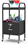 TASALON Metal Salon Trolley Cart with Wheels & Lockable Drawers – 4-Tier Hair Stylist Rolling Tray Cart, Barber & Esthetician Station Organizer, Beauty Salon Equipment & Spa Storage Cabinet by TASALON
