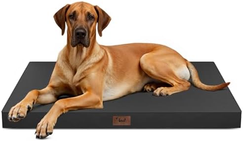 Jumbo Waterproof Orthopedic Dog Bed for Extra Large Dogs by TailStories
