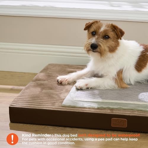 Bedsure ComfyFleece Dog Bed Medium Size Dog with Washable Cover, 29x18 - Image 2