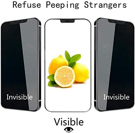PEHAEL for iPhone 12 Pro Max Privacy Screen Protector+Camera Lens Protector - Image 5