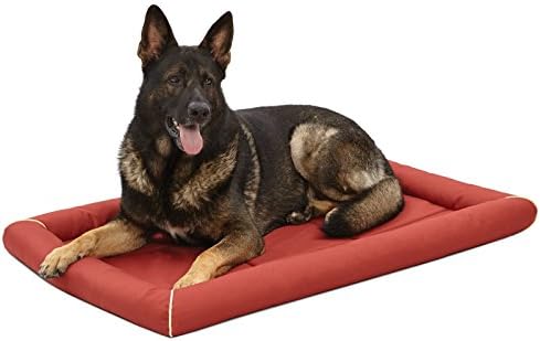 MidWest Homes for Pets XL QuietTime MAXX Ultra-Rugged Dog Bed, Water & Odor Resistant, Bolstered Edge, Non-Slip Bottom, Fits 48-inch Crates, Brick by MidWestHomesForPets