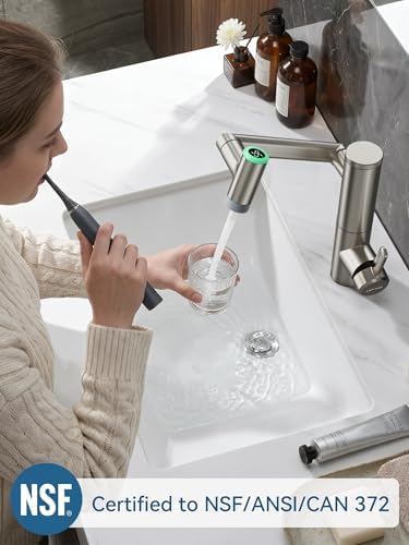 Lefton Rotatable Bathroom Faucet with Built-in Filter, Single Hole Sink Faucet with Temperature Display in Fahrenheit, 2 Water Modes, NSF Certified - Image 2