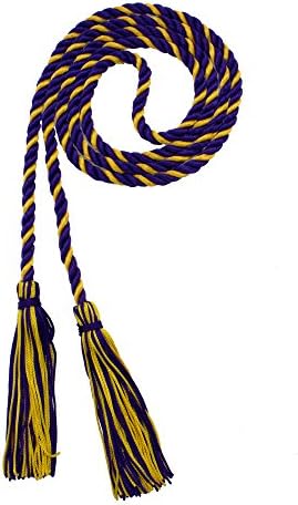 Tassel Depot Graduation Honor Cord - Purple/Gold - Every School Color Available - Made In Usa by TasselDepot