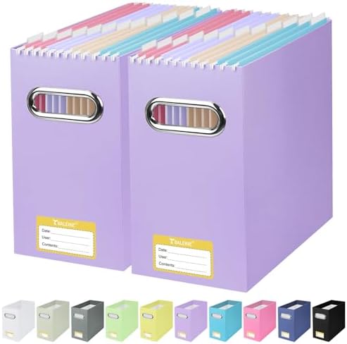 BALEINE 2PK File Organizer Box, Cardboard File Folder Organizer with Handle by BALEINE