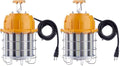 LED Temporary Work Light 100W 12000LM 5000K LED Construction Lights (Pack of 2) by JC-LGL