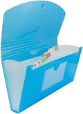 JAM PAPER Accordion Folders - 13 Pocket Plastic Expanding File - Check Size - 5 x 10 1/2 - Blue - Sold Individually by JAMPaper