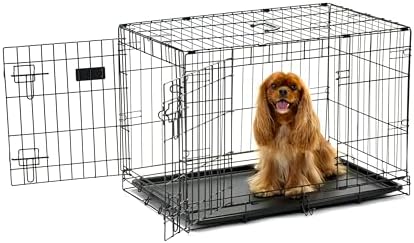 Carlson Secure and Compact Double Door Metal Dog Crate, Medium with Divider Panel by Carlson%C2%AEPetProducts