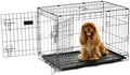 Carlson Secure and Compact Double Door Metal Dog Crate, Medium with Divider Panel by Carlson%C2%AEPetProducts