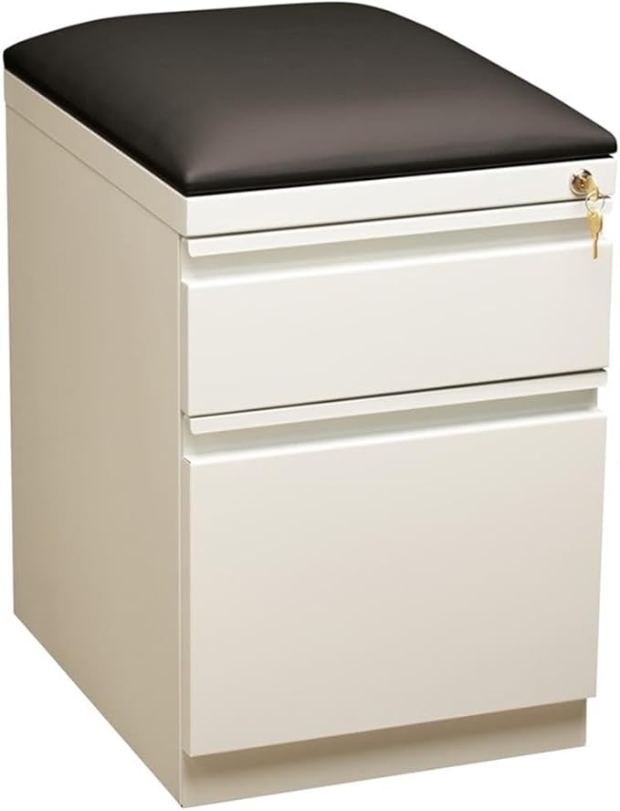 Pemberly Row 2-Drawer Metal Mobile Pedestal Filing Cabinet in White/Black by PEMBERLYROW
