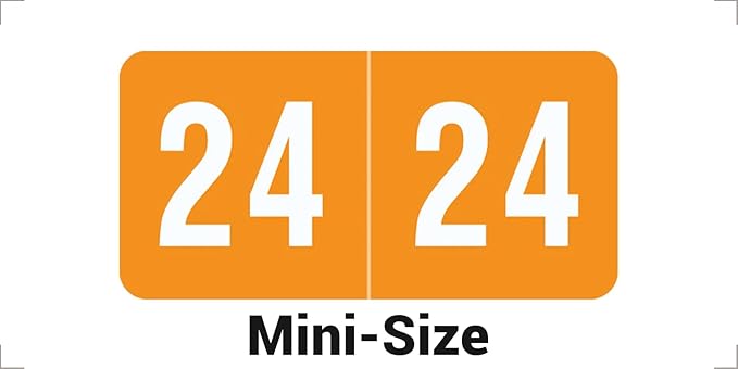 2024 MINI Year Stickers, Compatible by DoctorStuff