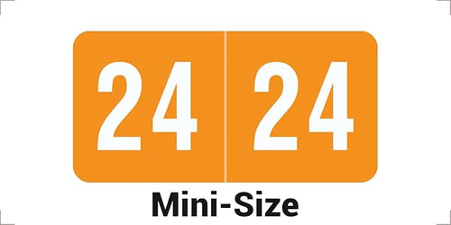 2024 MINI Year Stickers, Compatible by DoctorStuff