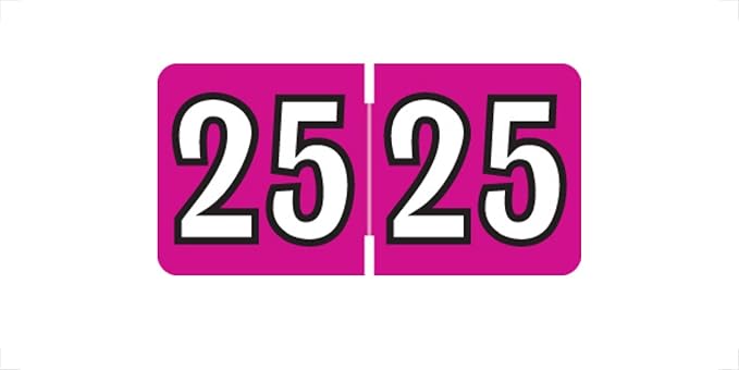 MINI 2025 Year Labels, Doctor Stuff 2025 Chart Stickers, Fuchsia Color Coded by DoctorStuff