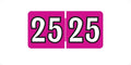 MINI 2025 Year Labels, Doctor Stuff 2025 Chart Stickers, Fuchsia Color Coded by DoctorStuff