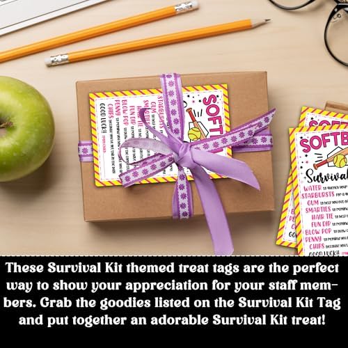 Softball Survival Kit Gift Tags, Softball Gift Label, You're a Home Run Valentine Favor Tags for School Class and Team -KAB05 - Image 5