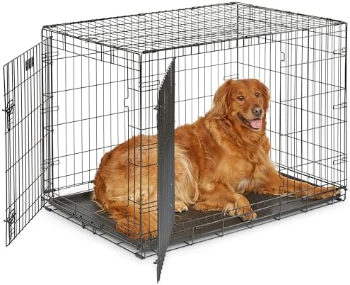 Midwest 42-Inch Double Door iCrate, for Large Breeds, 71-90 lbs by MidWestHomesForPets