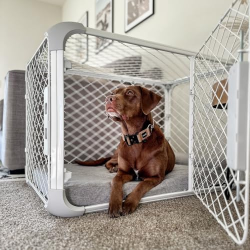 Diggs Evolv Modular Dog Crate for Dogs 18-22" Tall, Ash, Intermediate - Image 5