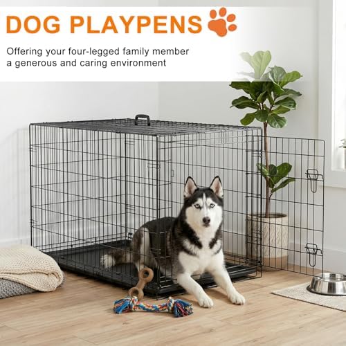 FDW | 48" Foldable Metal Dog Crate | Black | Cage for XL Dogs - Image 2