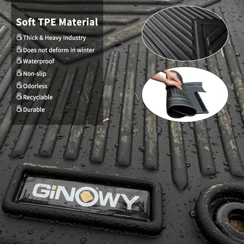 Floor Mats & Cargo Liner for 2023-2026 Lexus RX - Image 5