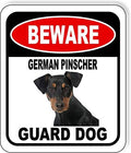 BEWARE GERMAN PINSCHER GUARD DOG Aluminum Composite Outdoor Sign 8.5" x10" Metal Security Notice for Yard, Fence, Porch, Property, and Business – No Trespassing, Warning, Attack Dogs, Protection by WorkHouseSigns