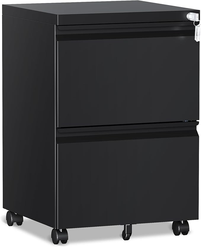 2 Drawer File Cabinet，Mobile Filing Cabinet by RAVIGIN