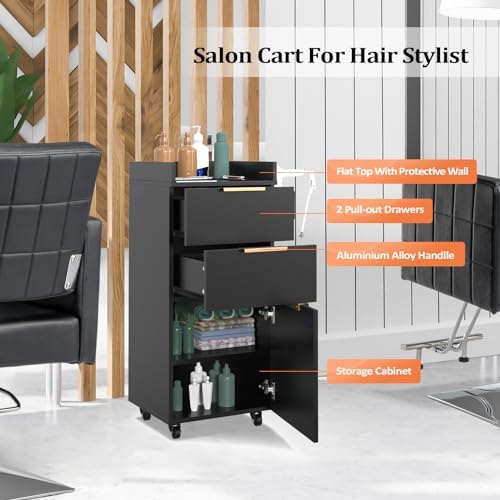 OmySalon Salon Trolley with Wheels, 2 Drawers & 1 Storage Cabinet, Salon Cart for Hair Stylist, Portable Styling Station for Barbershop Beauty Spa, Black - Image 3