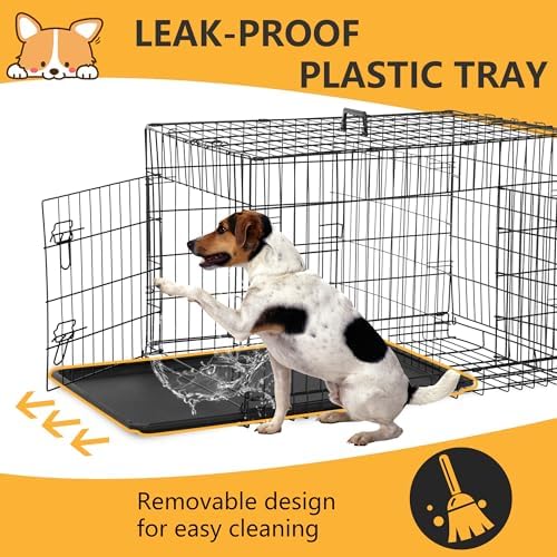FDW | 36" Foldable Metal Dog Crate | Black | Cage for Medium Dogs - Image 5