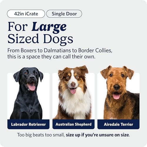 Midwest 42-Inch Single Door iCrate, for Large Breeds, 71-90 lbs - Image 3