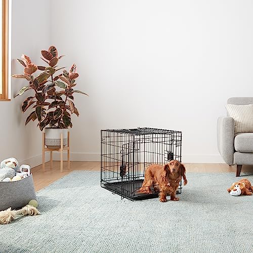 Amazon Basics Portable, Foldable Metal Wire Dog Crate with Removable Tray, Double Door, Divider Panel, 24" x 18" x 20", Black - Image 5