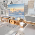 Dual Monitor Stand Riser with Drawer for Desk Laptop by Rocdeer
