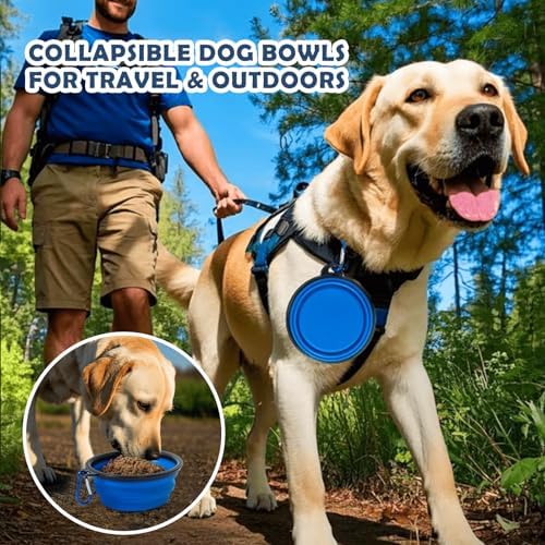 36 Inch Collapsible Soft Dog Crates with 3-Door & Mesh Windows for Travel - Image 5