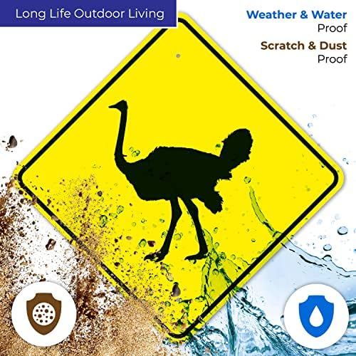 Ostrich Crossing with Graphic Sign, - Image 7