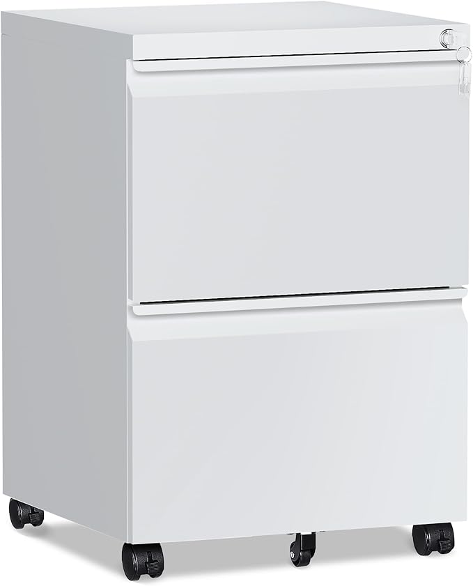 2 Drawer File Cabinet，Mobile Filing Cabinet by RAVIGIN
