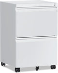 2 Drawer File Cabinet，Mobile Filing Cabinet by RAVIGIN