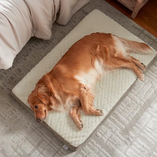 JOEJOY Orthopedic Dog Bed for Large Dogs, Washable Dog Crate Bed Large Sized with Removable Cover, Egg Memory Foam Big Pet Beds, Beige, 35"x22" - Image 2