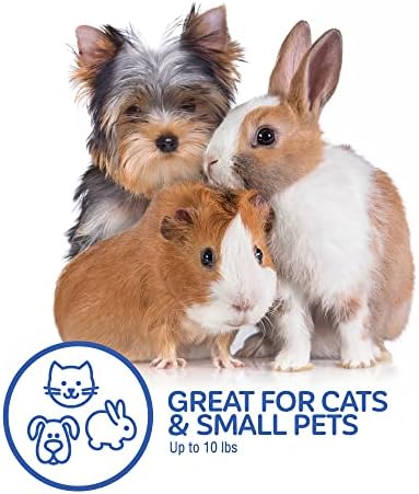 Petmate Top Load Plastic Cat Kennel, One-Door, 19in, Purple - Image 6