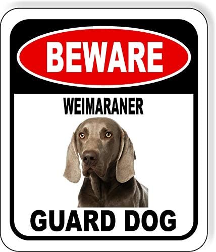 BEWARE WEIMARANER GUARD DOG Aluminum Composite Outdoor Sign 20" x24" Metal Security Notice for Yard, Fence, Porch, Property, and Business – No Trespassing, Warning, Attack Dogs, Protection by WorkHouseSigns