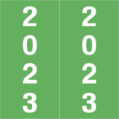 2023 Year Stickers, Doctor Stuff 2023 Chart Stickers, Light Green Colored by DoctorStuff