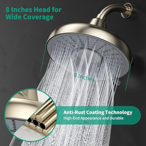 Longriver F8 Filtered Shower Head 8 Inch Shower Head High Pressure - Image 6