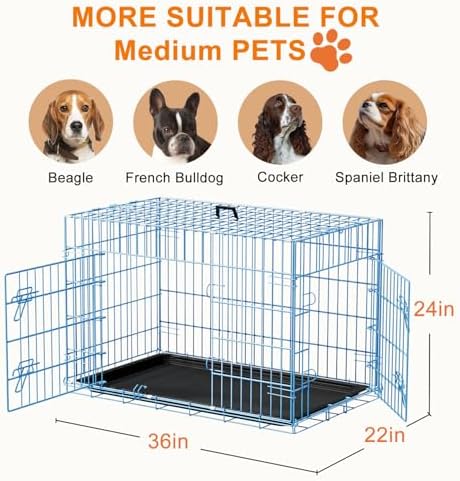 FDW | 36" Foldable Metal Dog Crate | Blue | Cage for Medium Dogs - Image 7