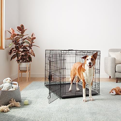 Amazon Basics Portable, Collapsible Metal Wire Dog Crate with Removable Tray, Double Door, Easy to Assemble, Divider Panel for Large Dogs, 42" x 28" x 30", Black - Image 6