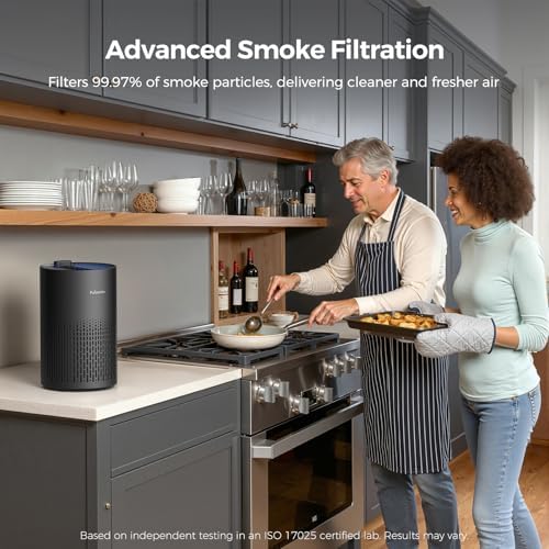 Purivortex Air Purifiers for Home, PX500 Black with Fragrance Sponge - Image 6