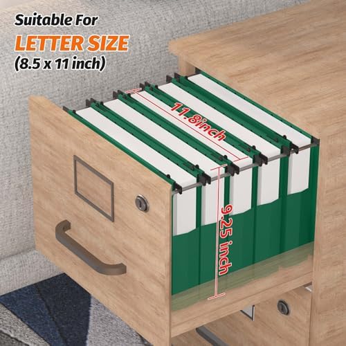SHUTEX Extra Capacity Plastic Hanging File Folders,12 Pack Reinforced Expanding Hang Folder Letter Size,Accordian Pocket,Heavy Duty 2 Inch Expansion,Hanging Folder Organizer for Office Home,Green - Image 3