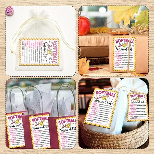 Softball Survival Kit Gift Tags, Softball Gift Label, You're a Home Run Valentine Favor Tags for School Class and Team -KAB05 - Image 4
