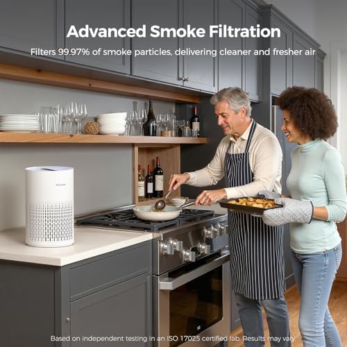 Purivortex Air Purifiers for Home, Covers Up to 880 Sq Ft, PX500 White - Image 6